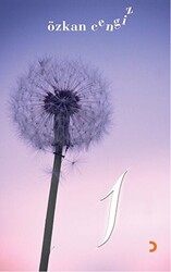 1 - 1