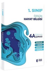 1. Sınıf Hayat Bilgisi Eğitimin 4 Aşaması - 1