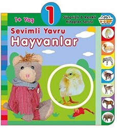 1+ Yaş Sevimli Yavru Hayvanlar - 1