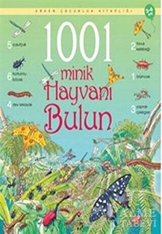 1001 Minik Hayvanı Bulun - 1