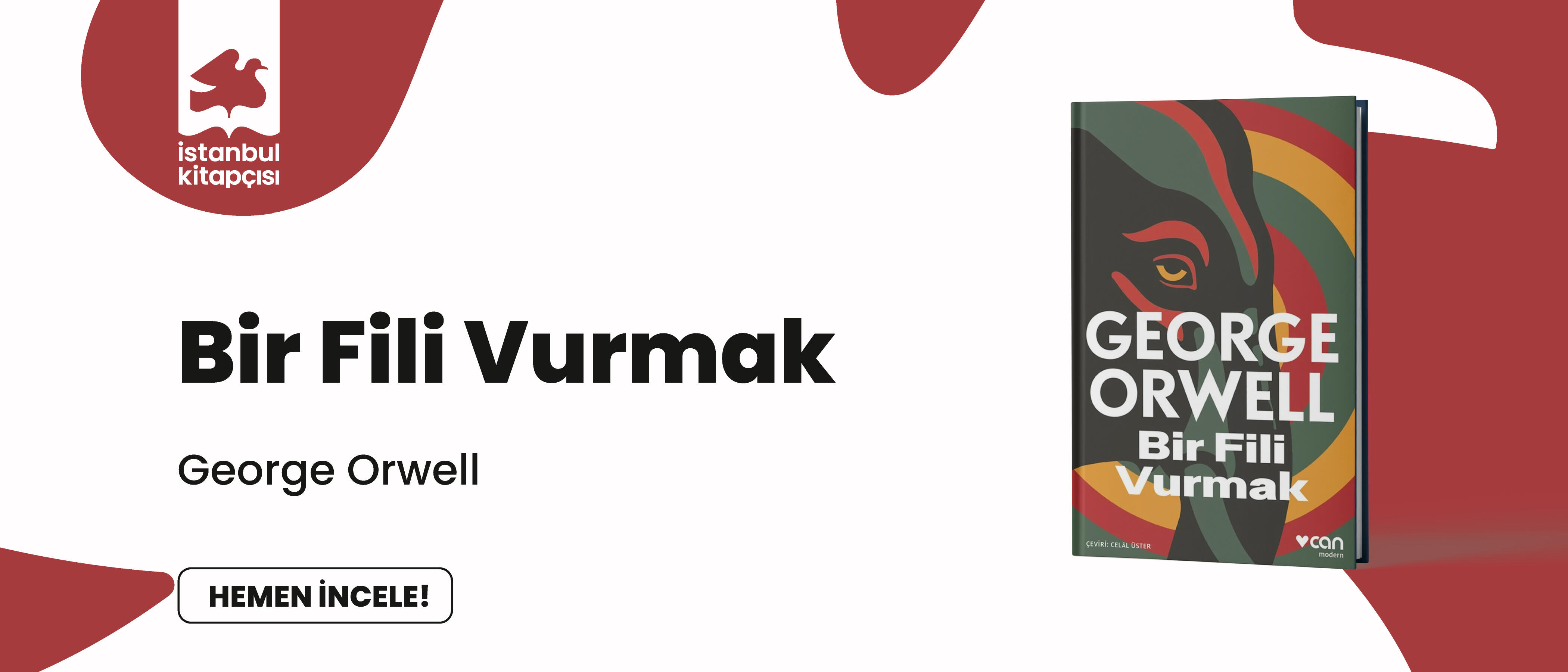 Bir Fili Vurmak 