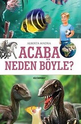 Acaba Neden Böyle? - 1