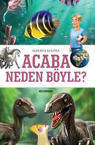 Acaba Neden Böyle? - 1