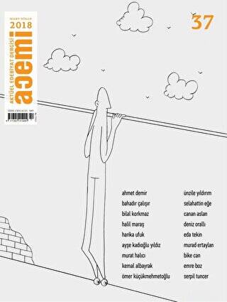 Acemi Aktüel Edebiyat Dergisi Sayı: 37 Mart - Nisan 2018 - 1