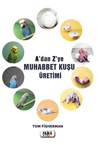 A`dan Z`ye Muhabbet Kuşu Üretimi - 1
