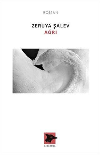 Ağrı - 1