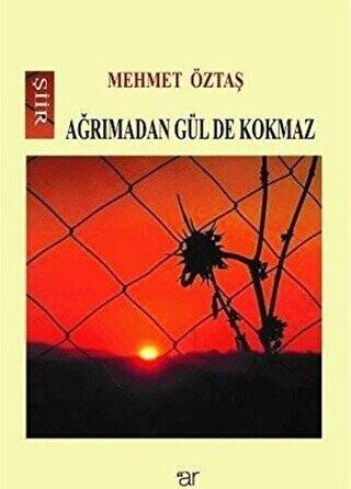 Ağrımadan Gül De Kokmaz - 1