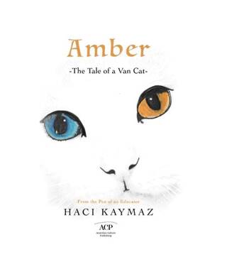Amber - 1
