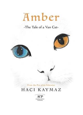 Amber - 1