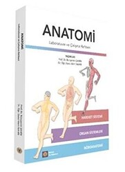Anatomi - 1