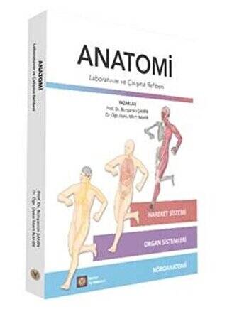 Anatomi - 1