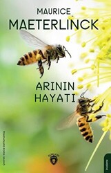 Arının Hayatı - Dorlion Yayınları