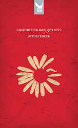 Asimetrik Bazı Şeyler - 1