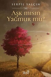 Aşk mısın Yağmur mu? - 1