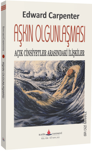 Aşkın Olgunlaşması - 1