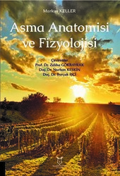 Asma Anatomisi ve Fizyolojisi - 1