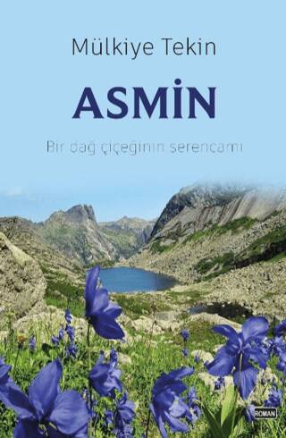 Asmin - 1