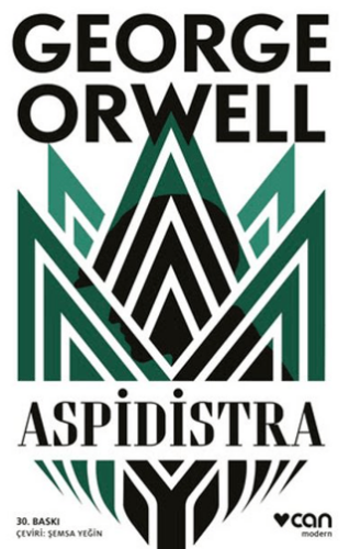 Aspidistra - 1