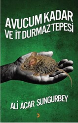 Avucum Kadar ve İt Durmaz Tepesi - 1
