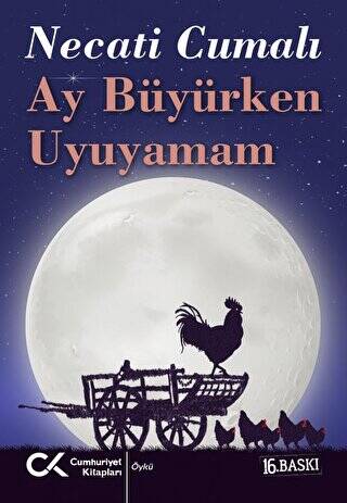 Ay Büyürken Uyuyamam - 1