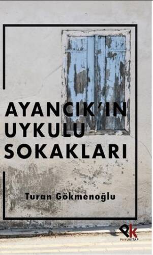 Ayancık’ın Uykulu Sokakları - 1