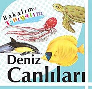 Bakalım Tanıyalım: Deniz Canlıları - 1