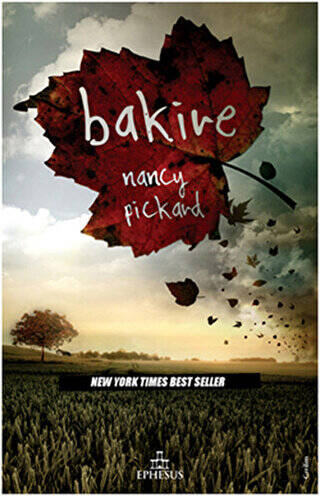 Bakire - 1