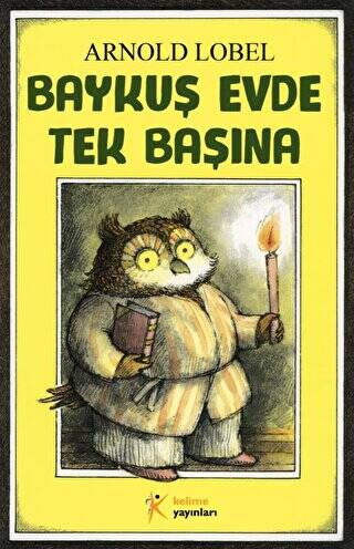 Baykuş Evde Tek Başına - 1