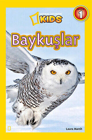 Baykuşlar - 1