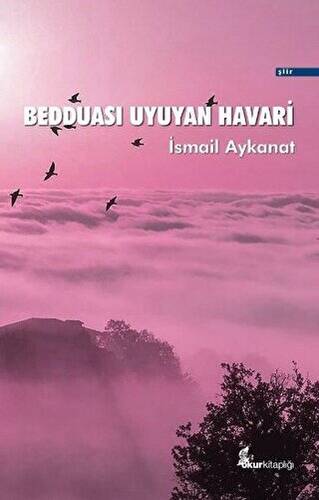 Bedduası Uyuyan Havari - 1