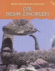 Besin Zincirlerini Korumak - Çöl Besin Zincirleri - 1