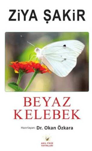 Beyaz Kelebek - 1