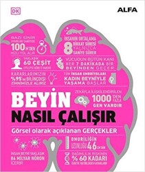 Beyin Nasıl Çalışır - 1