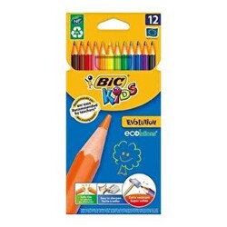 Bic Evolution Kuru Boya 12`li - Bic