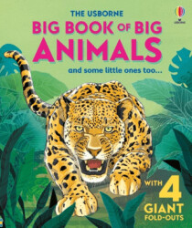 Big Book of Big Animals - Usborne