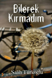 Bilerek Kırmadım - Cinius Yayınları