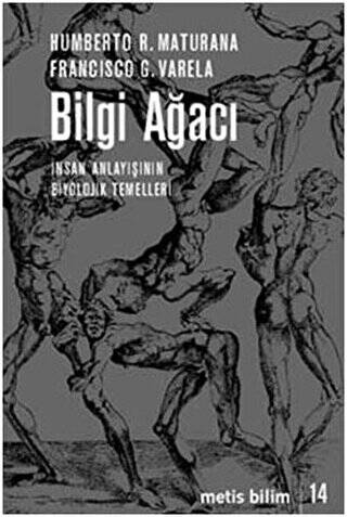 Bilgi Ağacı - 1