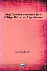 Bilgi Temelli İşletmelerde Sınai Mülkiyet Haklarının Raporlanması - 1