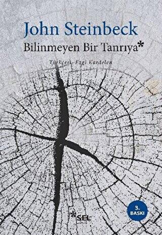 Bilinmeyen Bir Tanrıya - 1