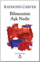 Bilmezsiniz Aşk Nedir - 1