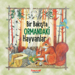 Bir Bakışta Ormandaki Hayvanlar - Yumurcak Yayınları
