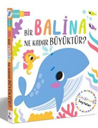 Bir Balina Ne Kadar Büyüktür? - 1