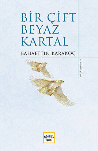 Bir Çift Beyaz Kartal - 1