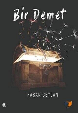 Bir Demet - 1