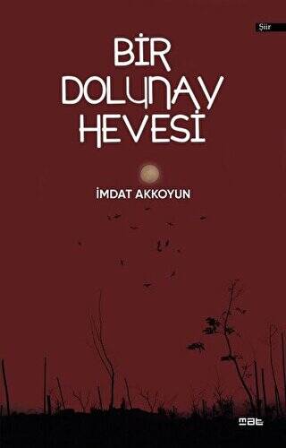 Bir Dolunay Hevesi - 1