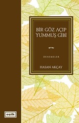 Bir Göz Açıp Yummuş Gibi - 1