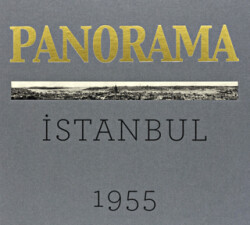 Bir İstanbul Panoraması 1955 Gri - An Istanbul Panorama 1955 - Masa Yayınevi