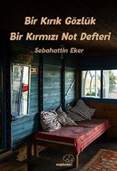 Bir Kırık Gözlük Bir Kırmızı Not Defteri - 1