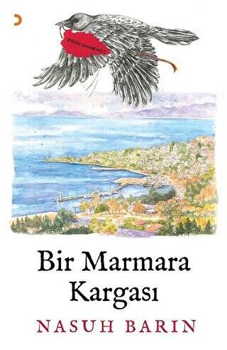 Bir Marmara Kargası - 1