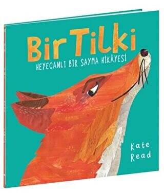 Bir Tilki - 1